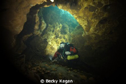 Freshwater cave system Hart Springs in North Florida. Not... by Becky Kagan 
